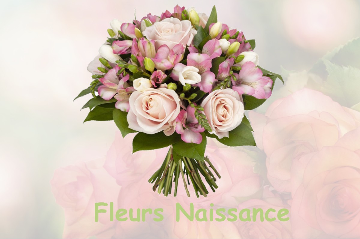 fleurs naissance SAINT-BRICE-COURCELLES