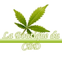 LA BOUTIQUE DU CBD SAINT-BRICE-COURCELLES 